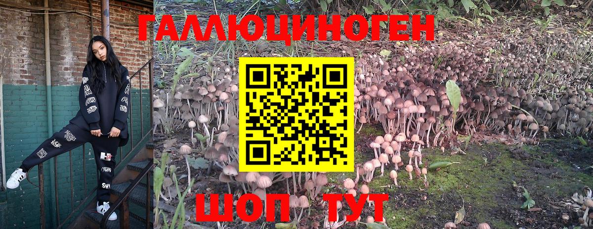 Псилоцибиновые грибы Cubensis  Псилоцибиновые грибы мухоморы  Фрязино  Вход с VPN 