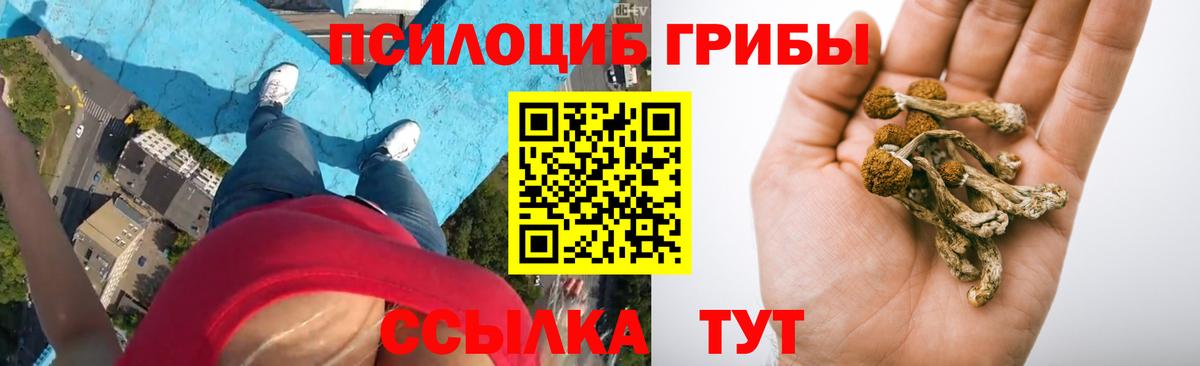 Псилоцибиновые грибы мицелий Фрязино
